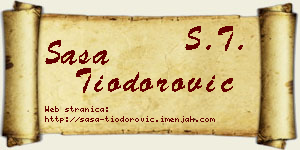Saša Tiodorović vizit kartica